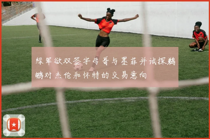绿军欲双签字母哥与墨菲并试探鹈鹕对杰伦和怀特的交易意向