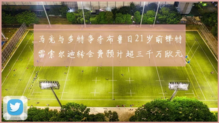 马竞与多特争夺布鲁日21岁前锋特雷索尔迪转会费预计超三千万欧元